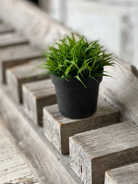 Greenpoint Pot No. 1 | 4.25" | CLOSEOUT!  From $0.35