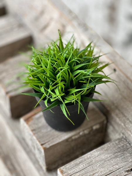 Greenpoint Pot No. 1 | 4.25" | CLOSEOUT!  From $0.35