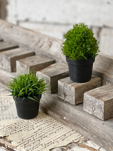 Greenpoint Pot No. 1 | 4.25" | CLOSEOUT!  From $0.35