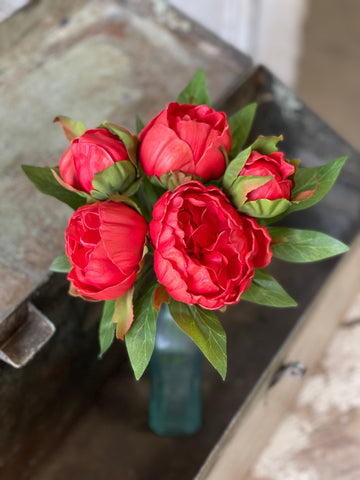 Peony Bundle | 11" | Red