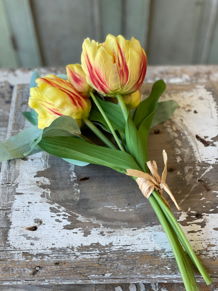 Grand Opening Tulip | 12" | Festival