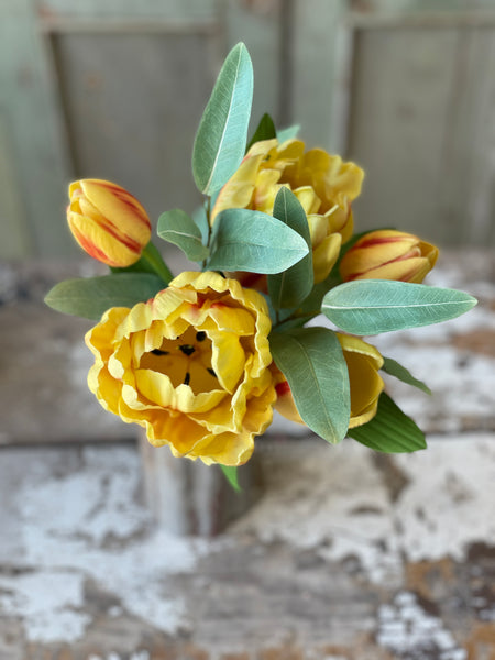 Grand Opening Tulip | 12" | Festival