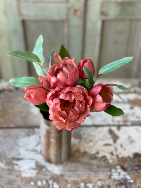 Grand Opening Tulip | 12" | Parasol