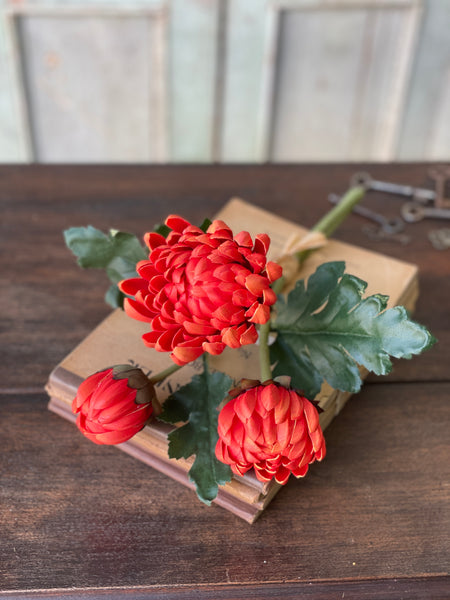 Heirloom Mums Bundle | 13" | Blaze
