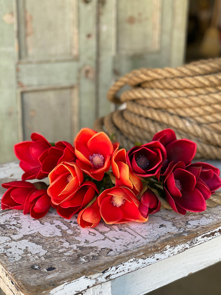 Jane Magnolia Bundle | 13" | Blaze | FURTHER REDUCED CLOSEOUT!  From $2.95