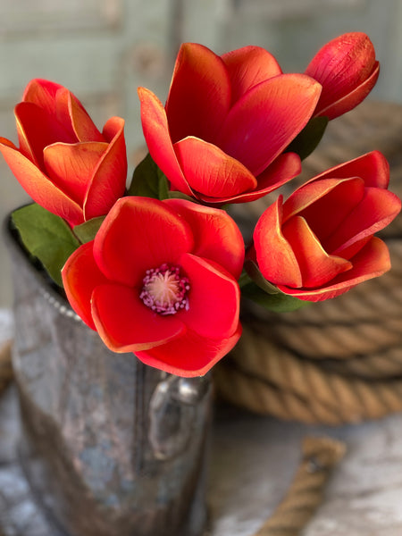 Jane Magnolia Bundle | 13" | Blaze | FURTHER REDUCED CLOSEOUT!  From $2.95