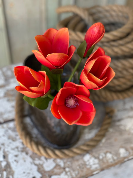 Jane Magnolia Bundle | 13" | Blaze | FURTHER REDUCED CLOSEOUT!  From $2.95