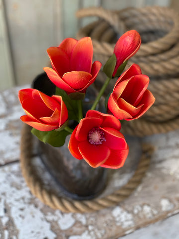 Jane Magnolia Bundle | 13" | Blaze | FURTHER REDUCED CLOSEOUT!  From $2.95