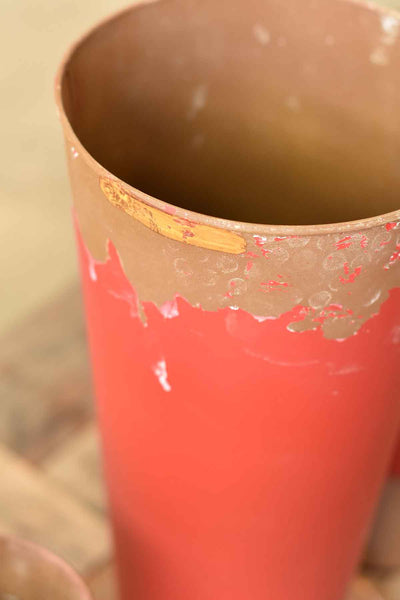 Sample Lot | Lot QC60181 | $100