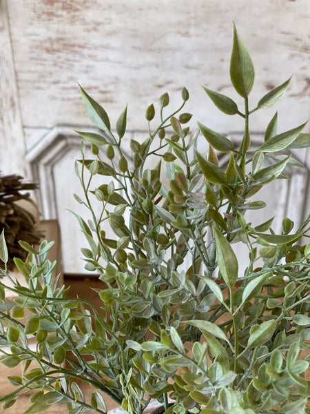 Mixed Sage Bush | 15" | NOT CURRENTLY IN STOCK - Spring 2026