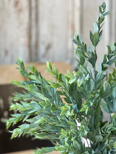 Rainwashed Bush | 21" *