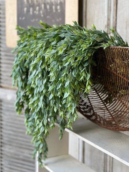 Rainwashed Hanging | 33" | NOT CURRENTLY IN STOCK - Spring 2026