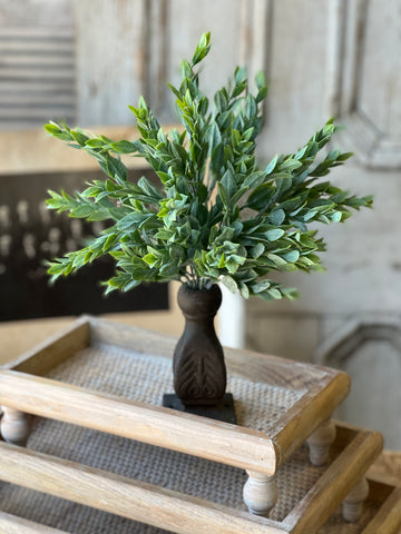 Rainwashed Bush | 14"