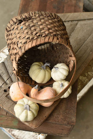 Fall's Folly Mini Pumpkins | Assortment of 6pcs | SOLD OUT