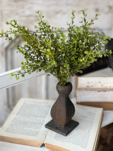 Baby's Grass Bush | New Green | 14" | SOLD OUT