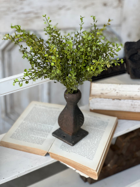 Baby's Grass Bush | New Green | 14" | SOLD OUT