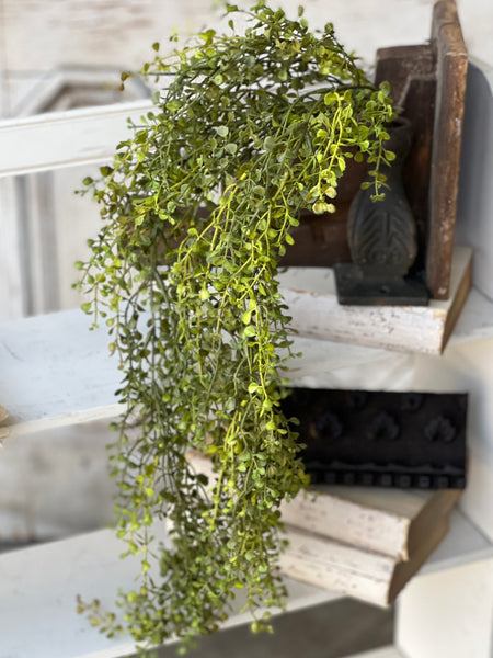 Baby's Grass Hanging | New Green | 33"