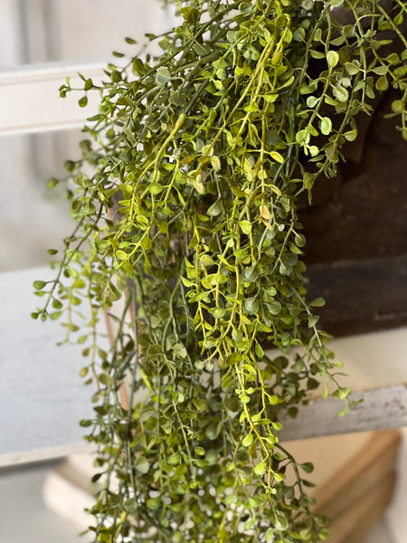 Baby's Grass Hanging | New Green | 33"