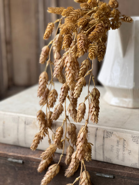 Hops Hanging | 32" | Beige | SOLD OUT