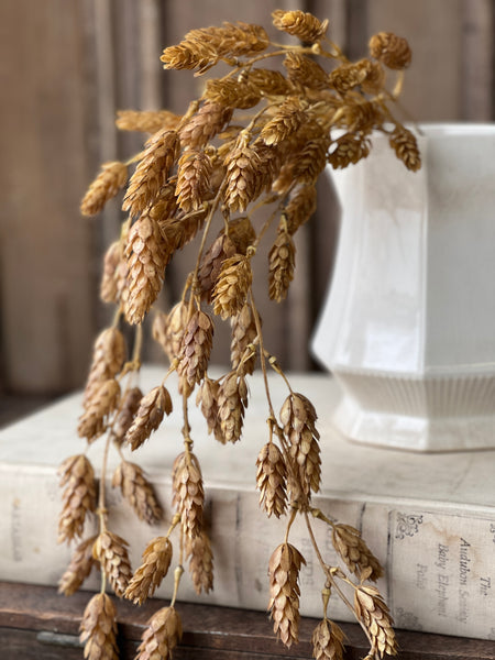 Hops Hanging | 32" | Beige | SOLD OUT