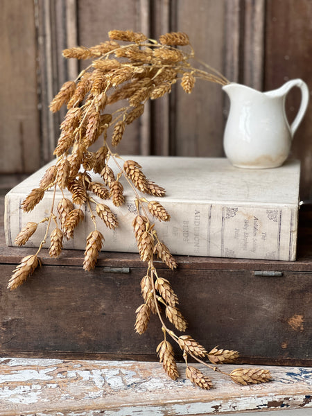 Hops Hanging | 32" | Beige | SOLD OUT