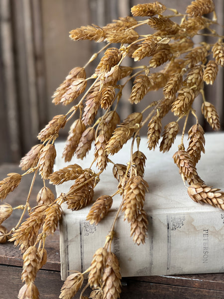 Hops Hanging | 32" | Beige | SOLD OUT