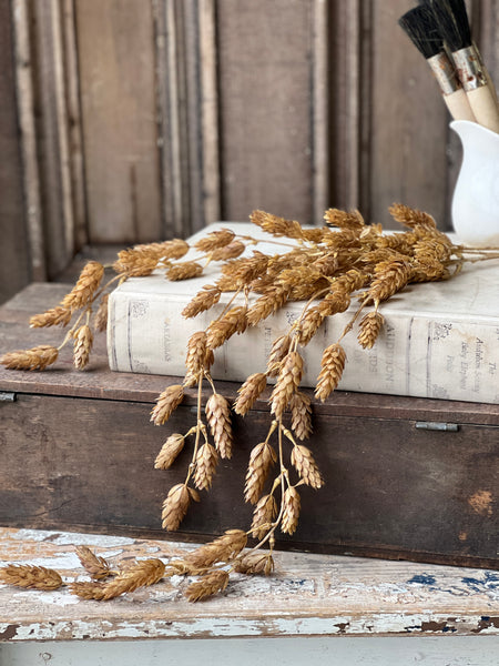 Hops Hanging | 32" | Beige | SOLD OUT