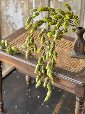 Hops Hanging | 32" | Green