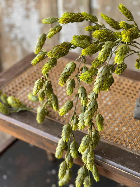 Hops Hanging | 32" | Green