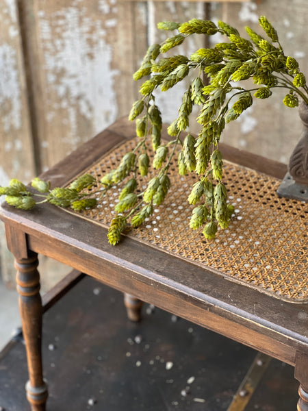 Hops Hanging | 32" | Green