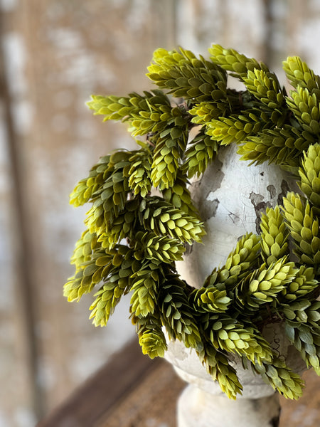 Hops Candle Ring | 9" | Green