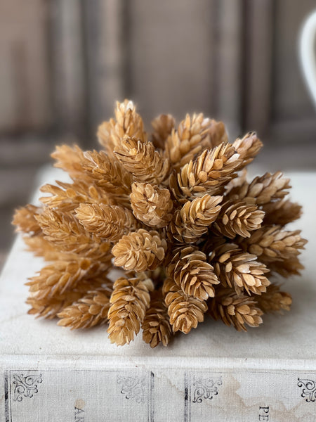 Hops Half Sphere | 7" | Beige | SOLD OUT