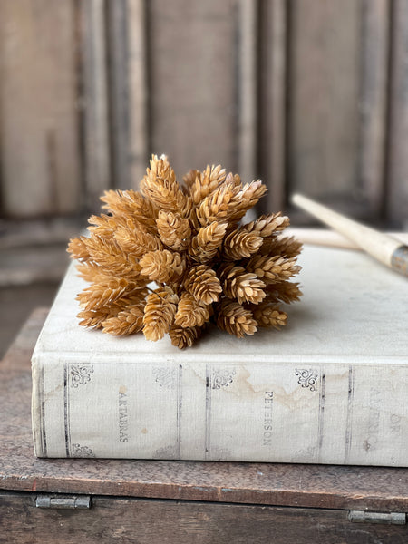 Hops Half Sphere | 7" | Beige | SOLD OUT