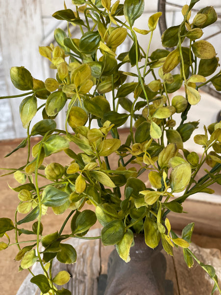 Bog Pimpernel Half Sphere | Green | 12"