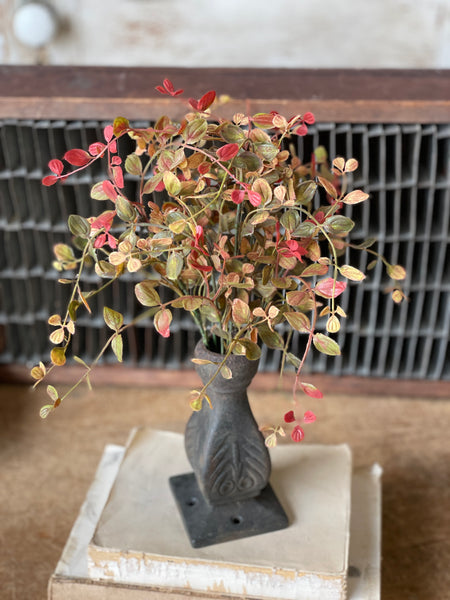 Bog Pimpernel Bush | Red | 12" | SOLD OUT