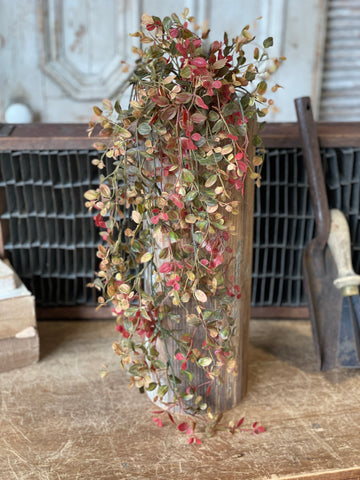 Bog Pimpernel Hanging | Red | 34" | SOLD OUT