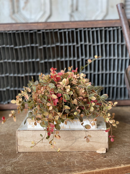 Bog Pimpernel Half Sphere | Red | 12" | SOLD OUT