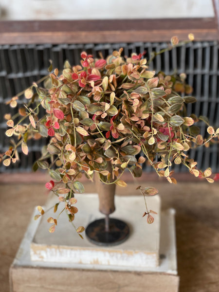 Bog Pimpernel Half Sphere | Red | 12" | SOLD OUT