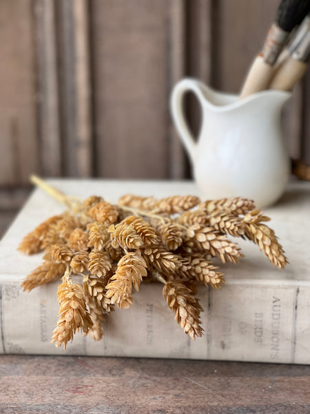 Hops Bush | 15" | Beige | SOLD OUT