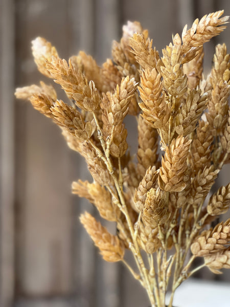 Hops Bush | 15" | Beige | SOLD OUT