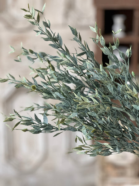 Twilight Ash Bush | 20"