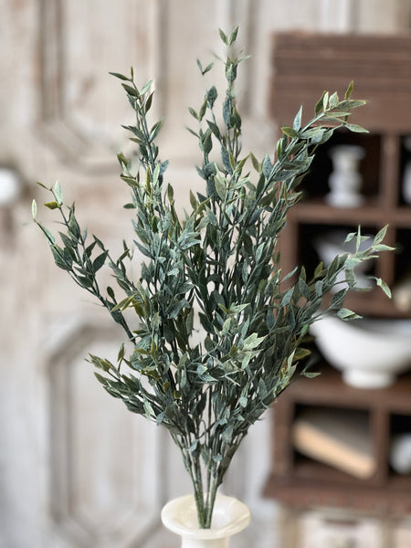 Twilight Ash Bush | 20"