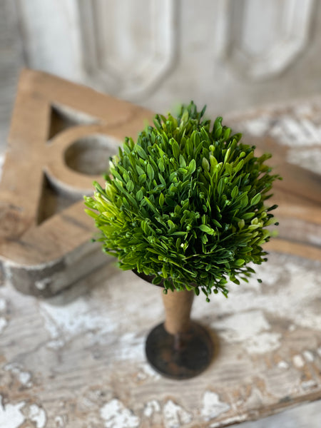 Seed Head Half Sphere | 6"