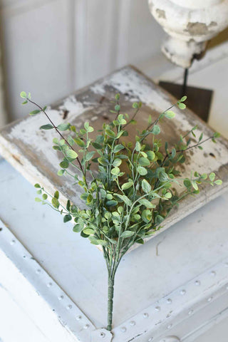 Seraph Vine Bush | 14" | NOT CURRENTLY IN STOCK - ETA December