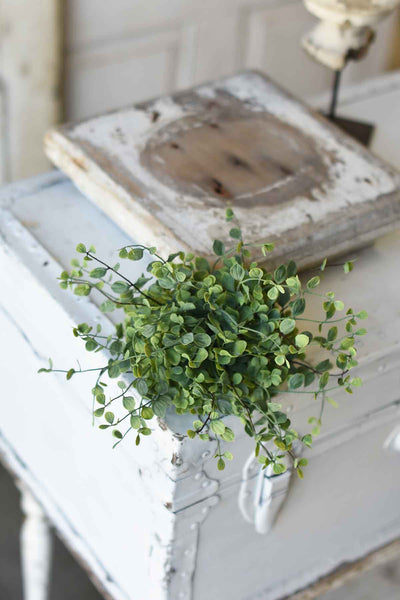 Seraph Vine Half Sphere | 7" | NOT CURRENTLY IN STOCK - Spring 2026 | ETA December