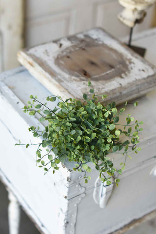 Seraph Vine Half Sphere | 7" | NOT CURRENTLY IN STOCK - ETA December