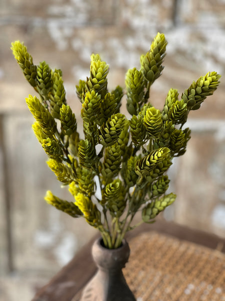 Hops Bush | 15" | Green | Limited Stock - Last 60pcs! (will be discontinued for Spring 2026)