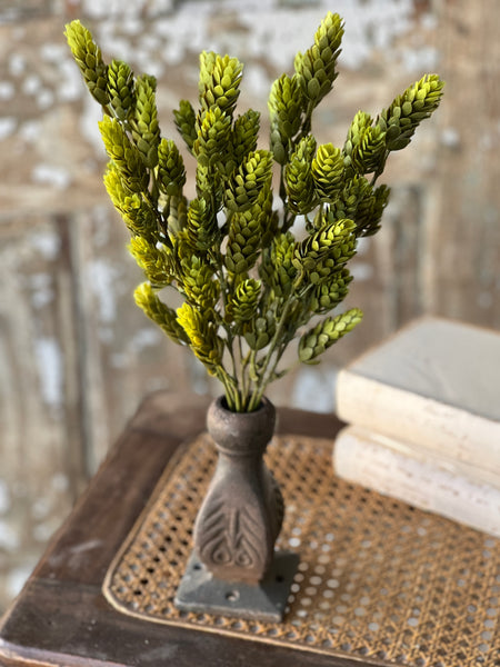 Hops Bush | 15" | Green | Limited Stock - Last 60pcs! (will be discontinued for Spring 2026)