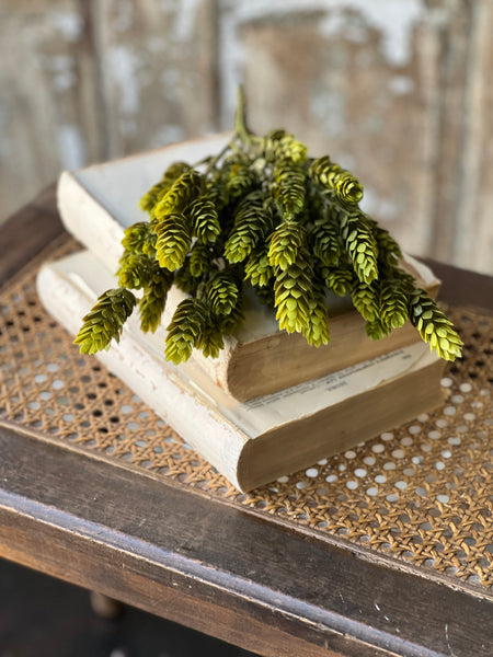 Hops Bush | 15" | Green | Limited Stock - Last 60pcs! (will be discontinued for Spring 2026)