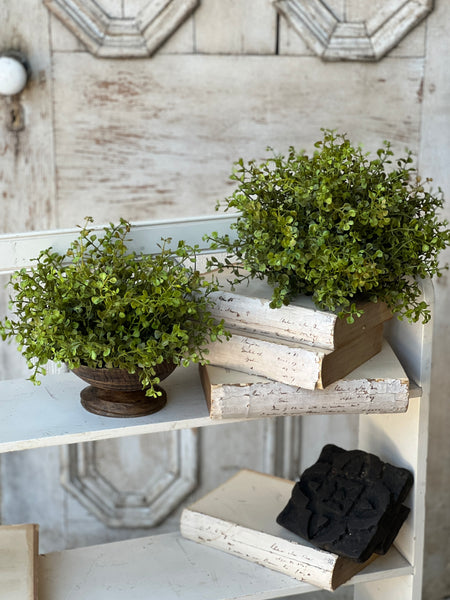 Baby's Grass Half Sphere | New Green | 7"